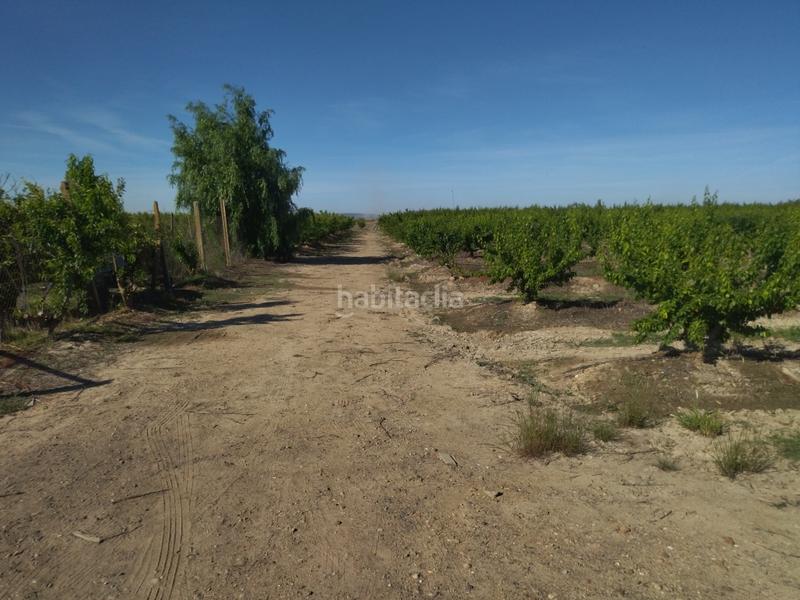 Foto a385daea-48c1-47d9-bf26-6f129b01fc70. Finca rústica a Campo Lugar