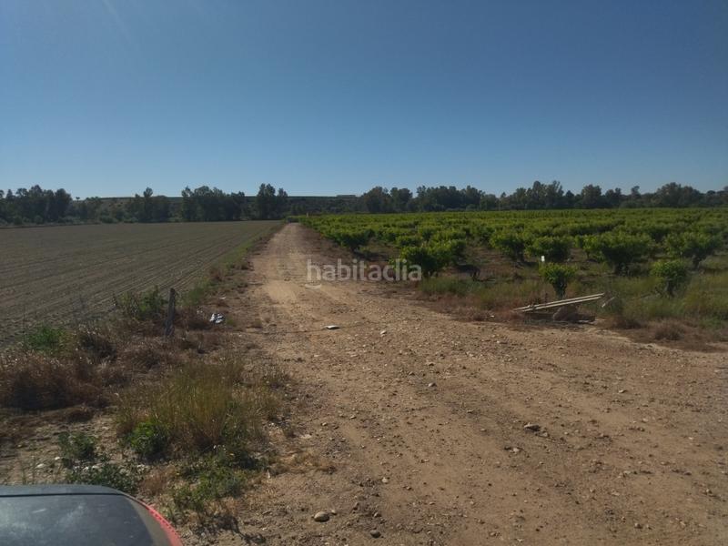 Foto c81caea7-f2dd-4711-bd98-4e19ce65525e. Finca rústica a Campo Lugar