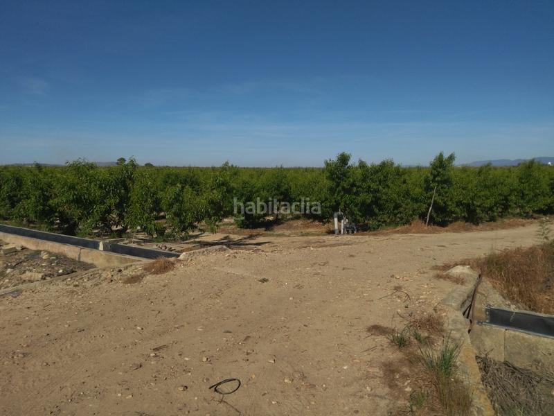 Foto cf5b01fa-d49c-4082-8f04-5a308fca3127. Finca rústica a Campo Lugar