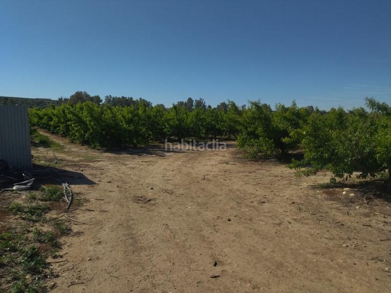 Foto e18845ff-443b-4fc0-a3c0-eff52898c81e. Finca rústica a Campo Lugar