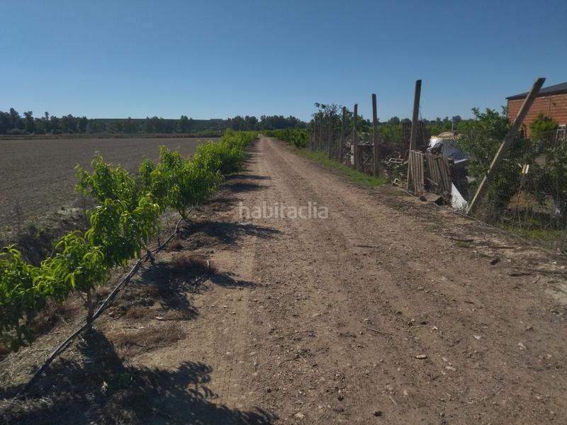 Foto e3e871f7-6b20-4753-8899-90dcb131df06. Finca rústica a Campo Lugar