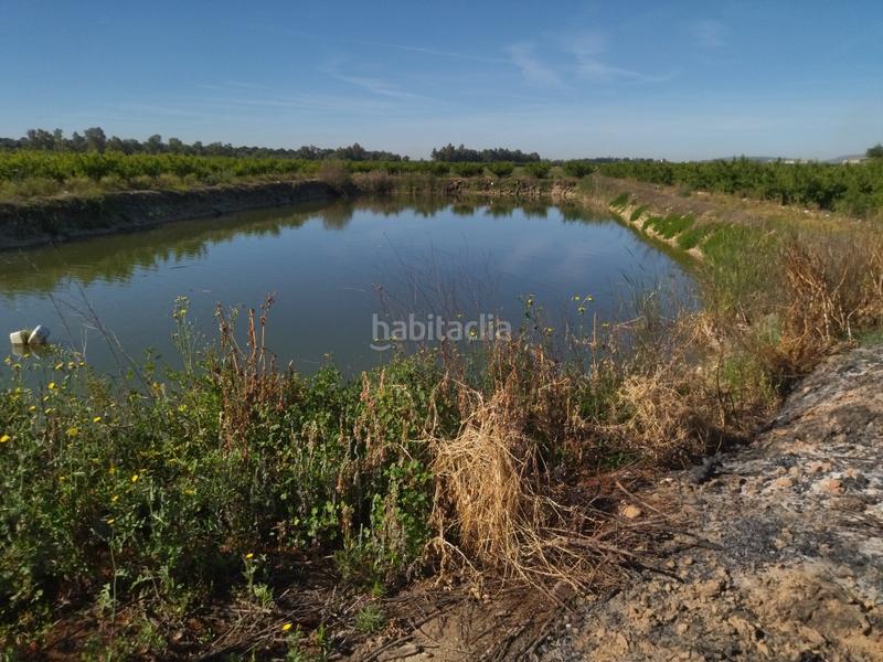 Foto e81320cf-a27b-4e3d-8dab-aa69d5cbd86f. Finca rústica a Campo Lugar