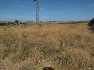 Finca rústica a Don Benito. Parcela rustica de regadio