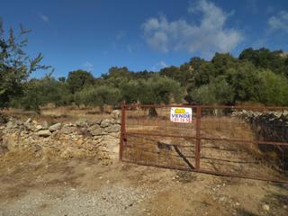 Finca rústica a Arroyomolinos. Parcela rustica en arroyomolinos