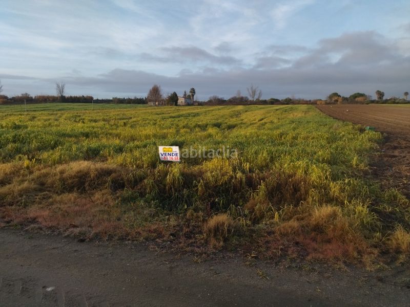 Foto b9d524d4-31be-439c-ab1e-b0a7a258c007. Finca rústica a Villanueva de la Serena