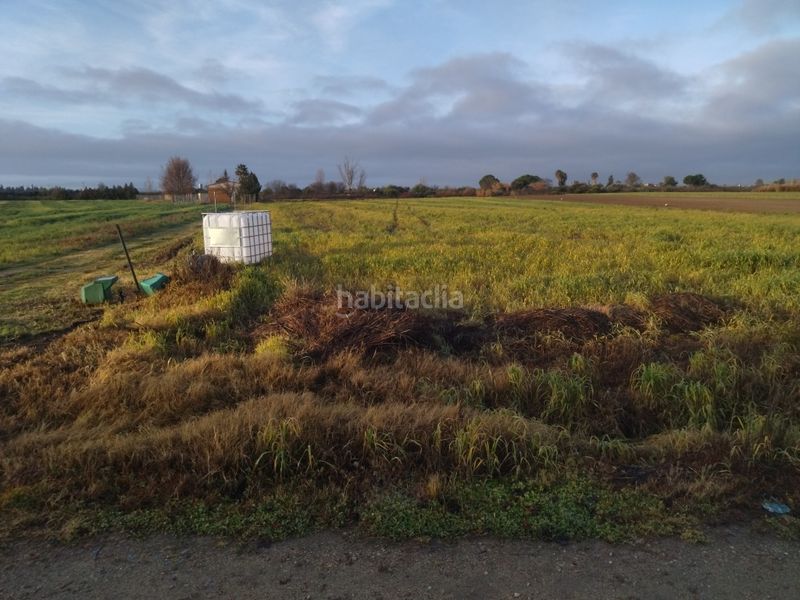 Foto d19f8031-4454-44a2-a313-ca721296f8dc. Finca rústica a Villanueva de la Serena