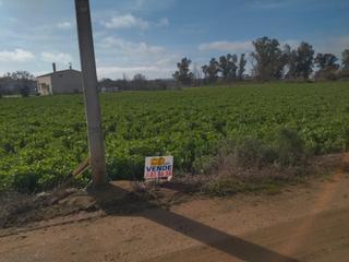 Finca rústica a Mengabril. Parcela rustica en mengabril