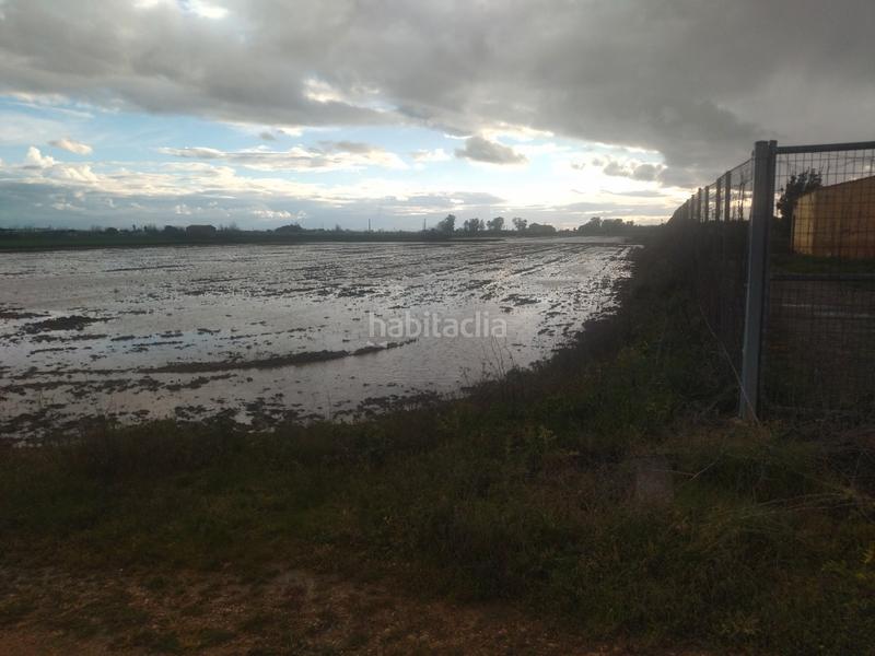 Foto 0ae8e4b3-bcce-4eec-ad31-bf28dee6dce2. Finca rústica a Don Benito