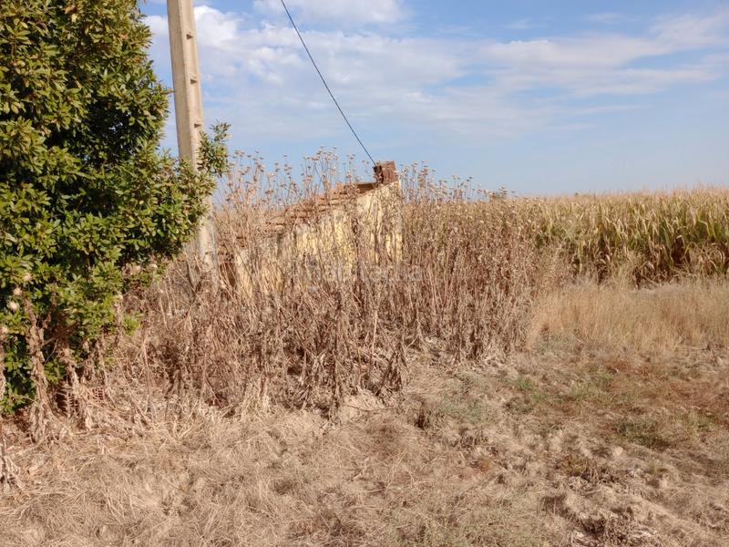 Foto 59496a6b-f4f9-4a41-a1d0-e3d9a3df84a1. Finca rústica a Don Benito