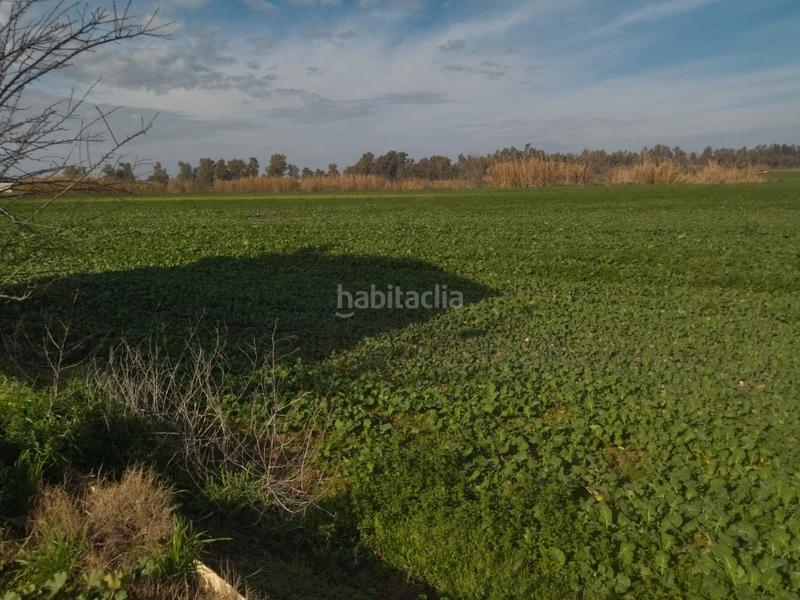 Foto 21a58714-e0cb-4b5a-b325-1cf390c246d2. Finca rústica a Don Benito