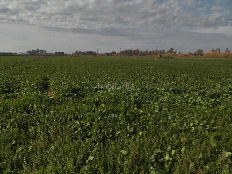 Foto 28209761-60c0-4da6-94f7-8d4b1265e0b7. Finca rústica a Don Benito