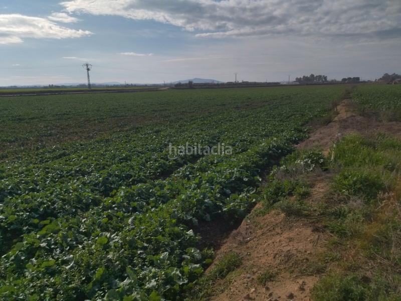 Foto 31bfdd6c-dade-4a94-a6d0-19695048f435. Finca rústica a Don Benito