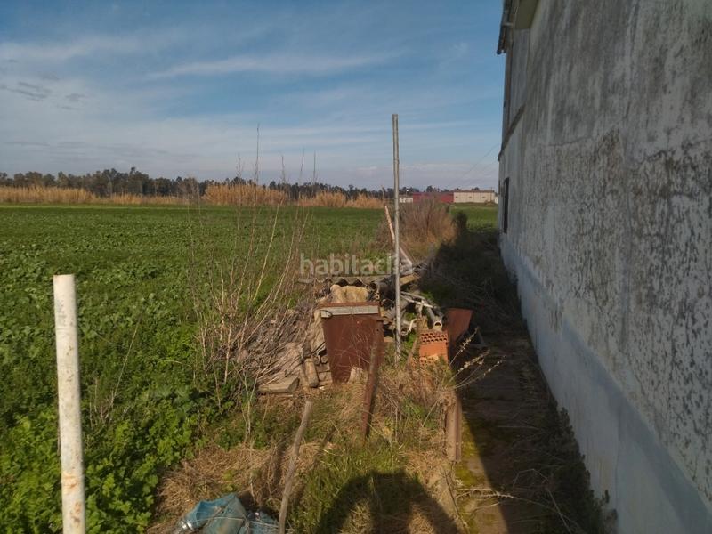 Foto 8a960c25-40df-40da-bad5-449bed2604e3. Finca rústica a Don Benito