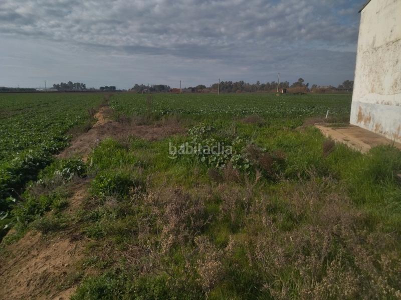 Foto c99256b4-e4ae-4d94-be6a-be6c416a7ca3. Finca rústica a Don Benito