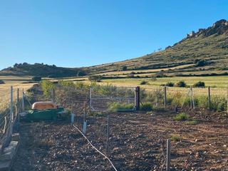 Finca rústica a Magacela. Parcela rustica en magacela