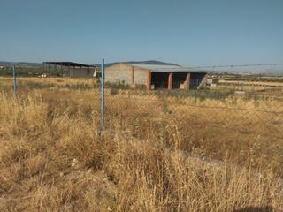 Finca rústica a Haba (La). Granja ganadera en la haba