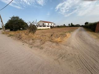 Finca rústica a Don Benito. Parcela rustica bien situada