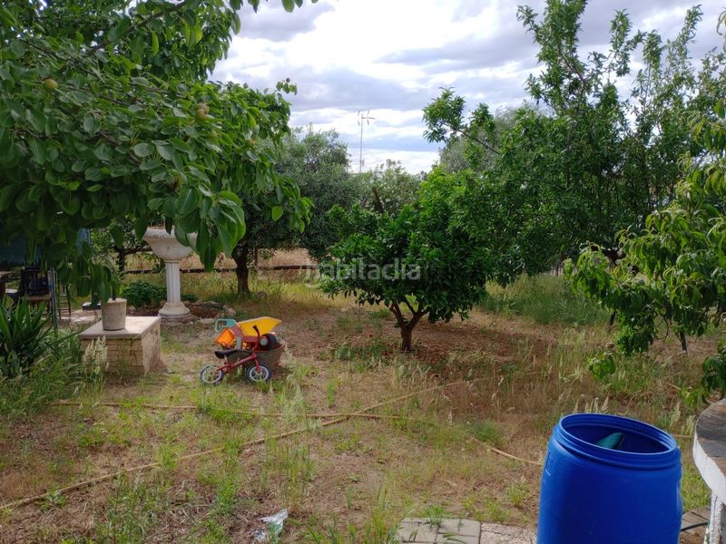 Foto 1a8497e9-08ff-4f43-be10-855b3e286806. Xalet amb xemeneia aparcament piscina a Don Benito