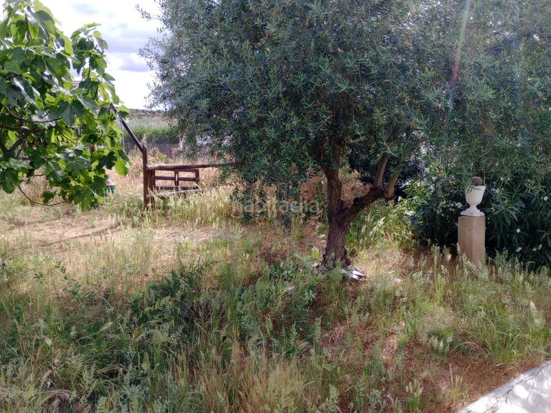 Foto ac259289-130f-403a-9b8f-b6e97ba4d1c8. Xalet amb xemeneia aparcament piscina a Don Benito