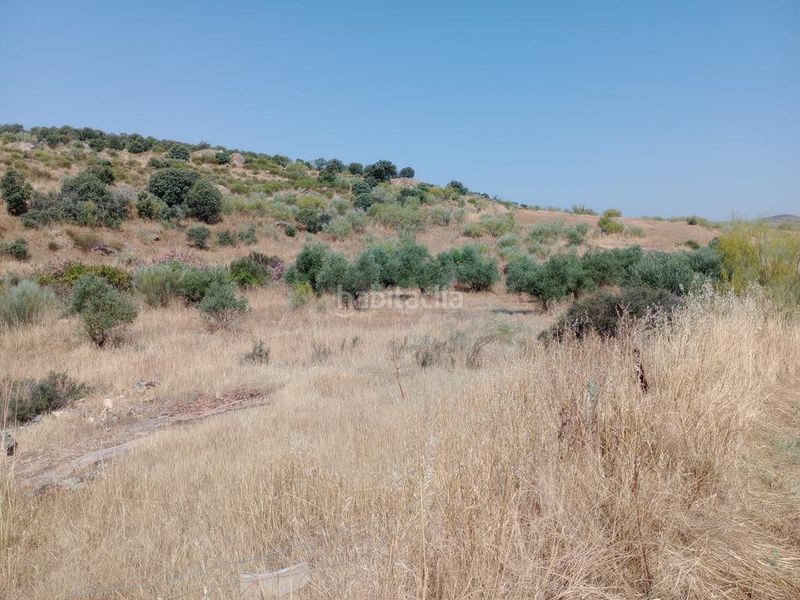 Foto f93d25f7-2f79-43b6-9c28-4c9e4be1c39c. Casa amb aparcament a Valle de la Serena