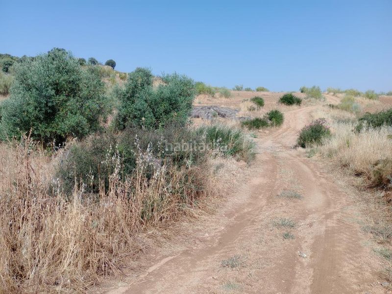 Foto fe0b5c4f-2823-4587-8082-bc301ea268e7. Casa amb aparcament a Valle de la Serena
