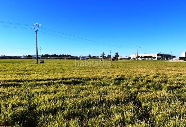 Foto 5be71113-c6d1-475f-89d5-f4086a40e675. Finca rústica a Don Benito