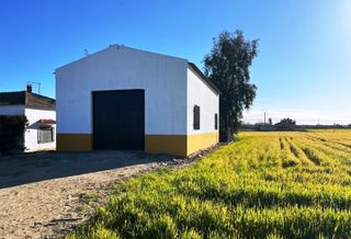 Fondo rustico in Don Benito. Finca rustica con nave agricola