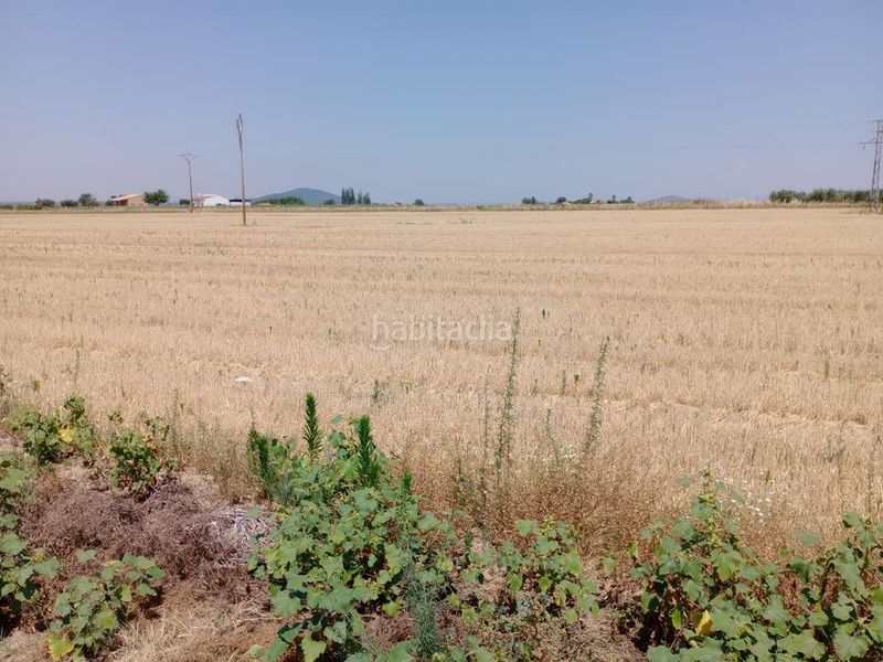 Foto f9b938b2-5145-4311-b19a-f22f8d7d1b8c. Finca rústica a Mengabril