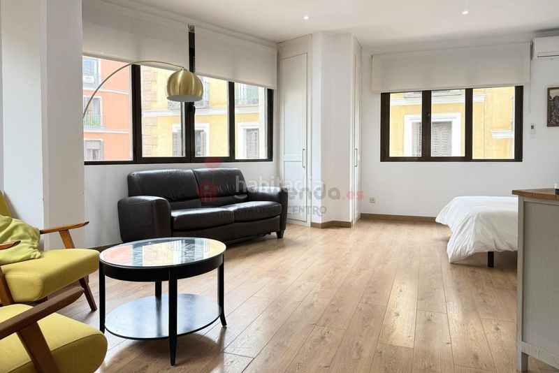 Foto 44a10fb1-4e2c-4dfa-a146-627d35d014cd. Miete studiowohnung mit heizung in Sol Madrid