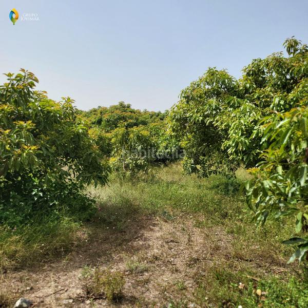 Foto 10e77ad7-52e9-41b6-a7e8-3ffe0b7dcfad. Residential plot in Motril ciudad Motril