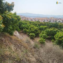 Terreny residencial a Motril  ciudad. Se vende finca de aguates en motril