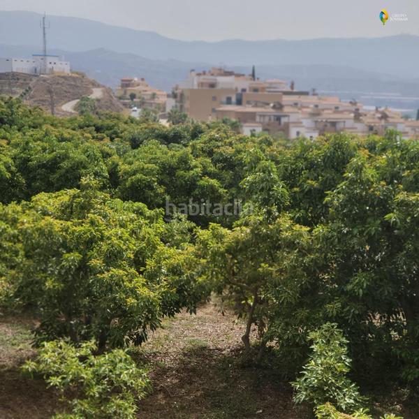 Foto 35d6300d-f9d7-4f41-b6ce-e7cb5828ddb4. Residential plot in Motril ciudad Motril