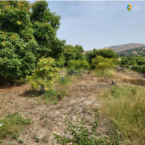 Foto 6f18ae03-877d-44f6-acd4-7c6a77004533. Residential plot in Motril ciudad Motril