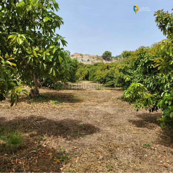 Foto 7802a181-d939-4957-856c-45e88f23e184. Residential plot in Motril ciudad Motril