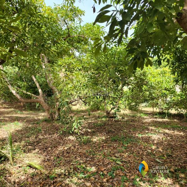 Foto 7aefb877-e04f-4a11-9f53-ee7f67c0949e. Residential plot in Motril ciudad Motril