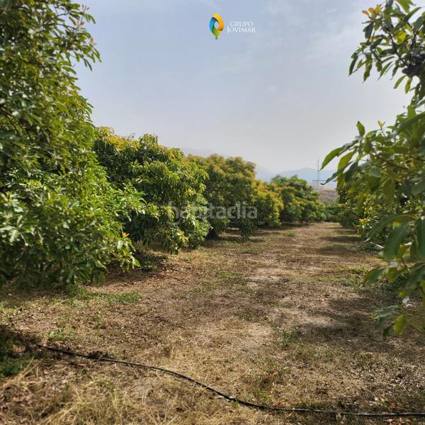 Foto a5c5d239-9f04-4336-8890-f98e0afbbdf9. Residential plot in Motril ciudad Motril