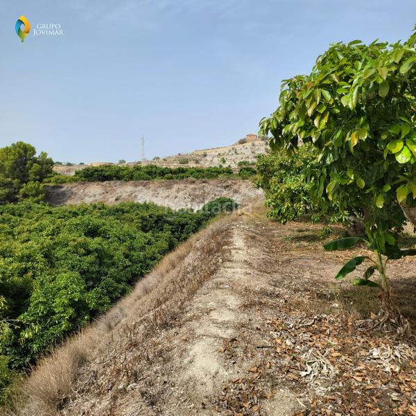 Foto bbf74c62-715c-4337-8593-3f97f15ec2eb. Residential plot in Motril ciudad Motril