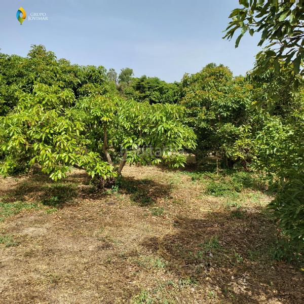 Foto f14bf9a6-608d-429f-a05a-25aba892b678. Residential plot in Motril ciudad Motril