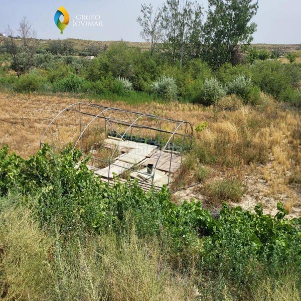 Foto 039b3d20-d2d8-40ea-855b-7edf6f2e4241. Finca rústica en Caniles