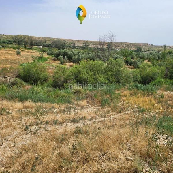 Foto 8bba7a46-c54f-464c-b39a-7d01a7f1714e. Finca rústica en Caniles