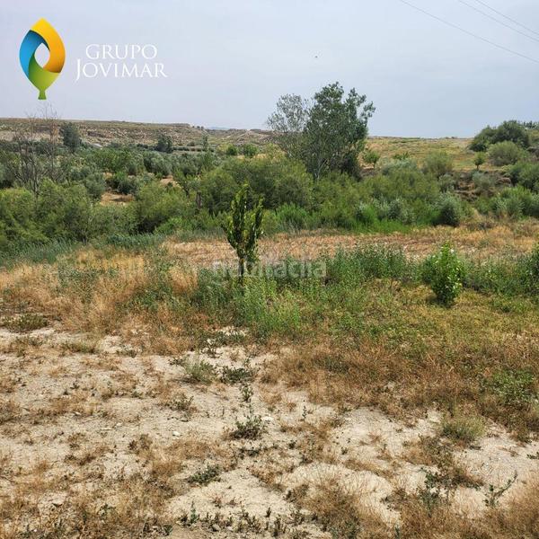 Foto e95d6978-90bb-46cb-8ee9-016f7063b8bb. Finca rústica en Caniles