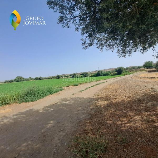 Foto 2396bb62-4ab8-45fb-979c-4eacf64f6620. Fondo rustico in Guadix