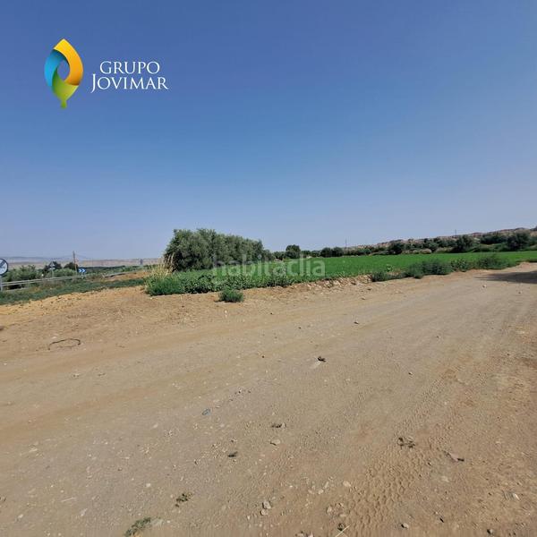 Foto 25bd6c4e-6383-4db3-a715-03b739e28536. Fondo rustico in Guadix