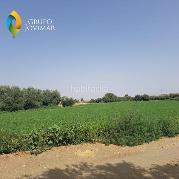 Foto 6ef818db-0c1f-43c9-b7d5-153a01e676ca. Fondo rustico in Guadix