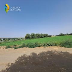 Rural plot in Guadix. Oportunidad finca barata en guadix