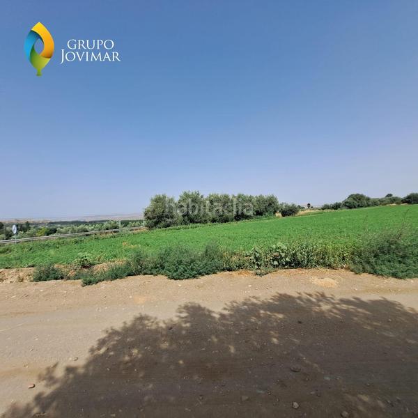 Foto 8d501586-0322-4f5f-902f-69bd069421d1. Fondo rustico in Guadix