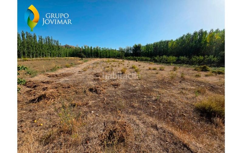 Foto 4d7592c2-abd1-4ad0-a81c-af9cb6d2c03b. Finca rústica a Cortes y Graena