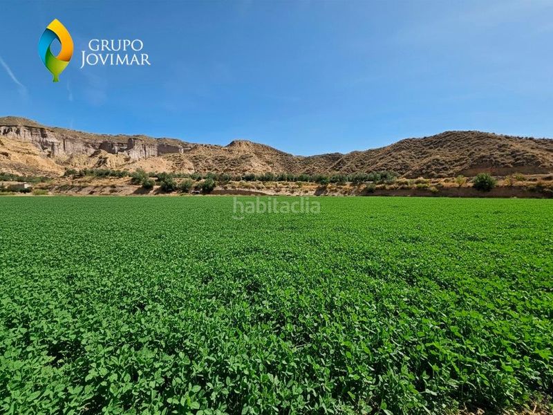 Foto 19f88db9-81a2-41b3-bbe9-e6a661e3a2a2. Finca rústica a Gorafe