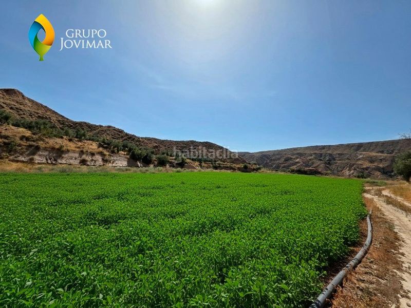 Foto 7b9427fe-bf8f-4b4b-b1c7-a0aba5a08206. Finca rústica a Gorafe