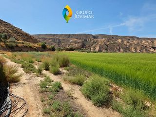 Landgut in Gorafe. Finca de regadio y recreo en gorafe  19.320 m2